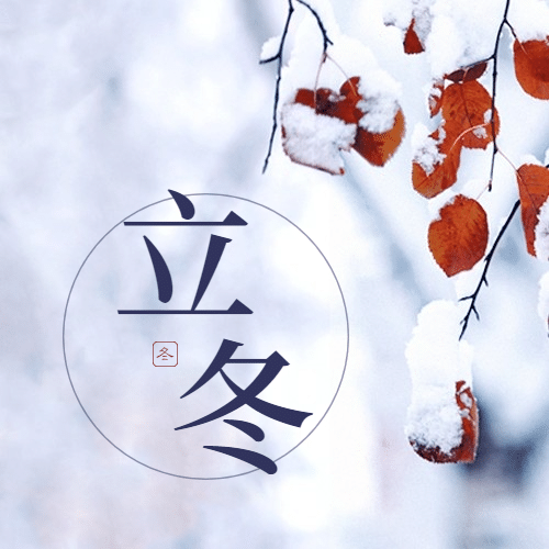 立冬节气全屏实景特写祝福公众号次图预览效果