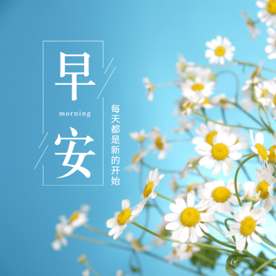 早安问候唯美方形海报