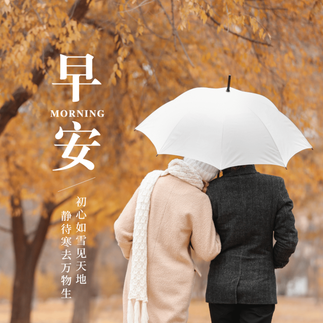 早安冬季问候方形海报预览效果