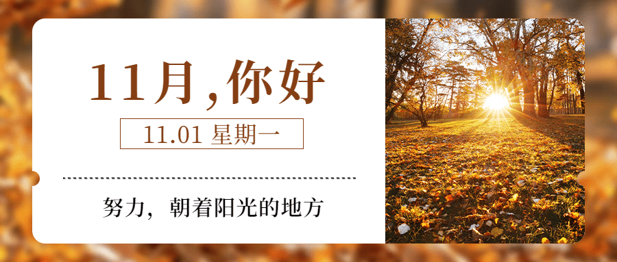 通用11月你好祝福清新公众号首图预览效果
