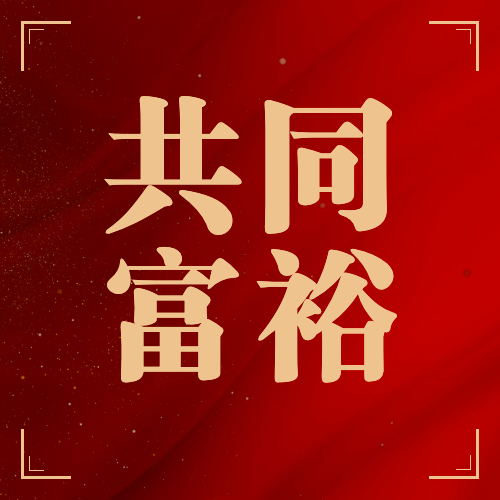 共同富裕乡村振兴政务民生公众号次图预览效果