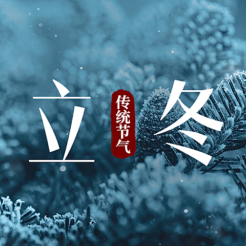 立冬节气植物特写合成实景公众号次图