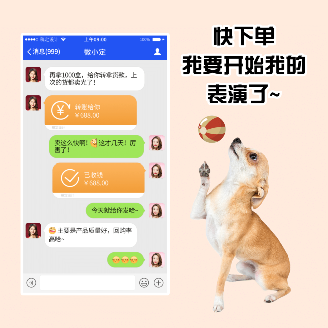 纯色背景萌宠狗狗晒单晒反馈预览效果