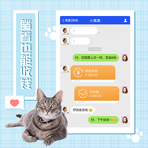 格子背景萌宠猫咪晒单晒反馈
