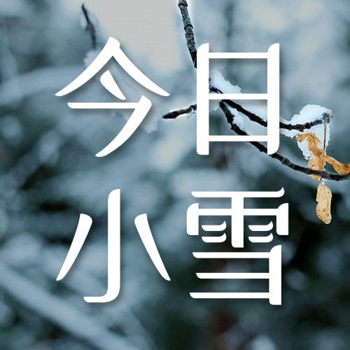 小雪节气祝福问候冬天实景公众号次图预览效果