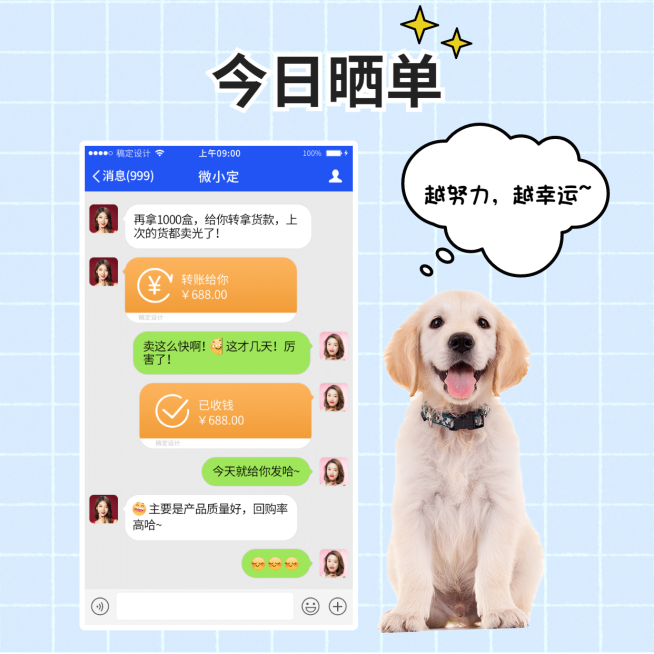 简约清新格子背景狗狗萌宠晒单预览效果