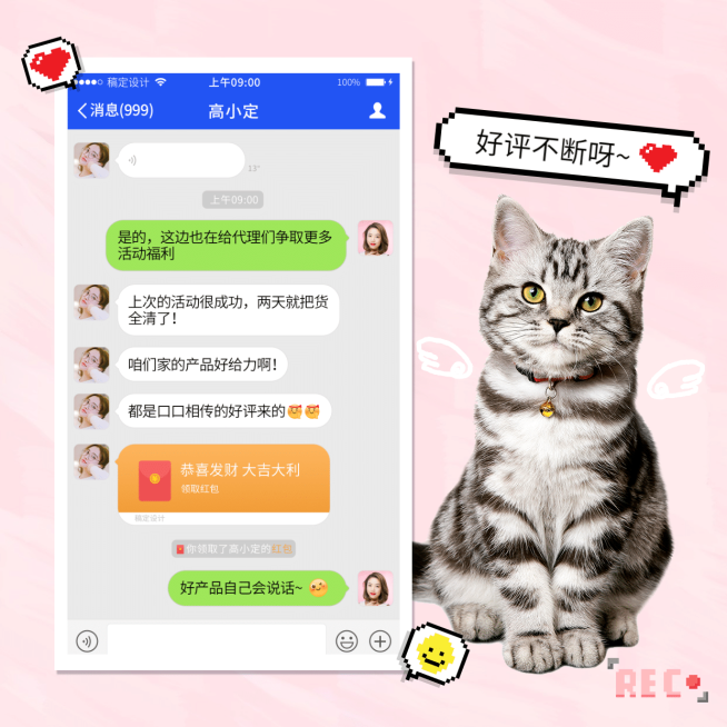 猫咪实景像素萌宠好评不断微商晒单预览效果