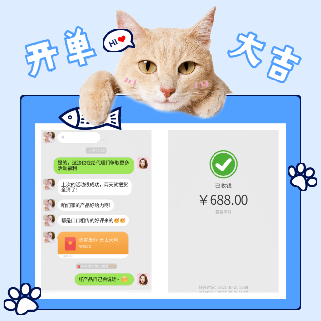 猫咪边框卡通涂鸦开单大吉萌宠晒单预览效果