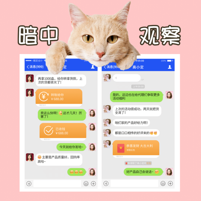 萌宠猫咪晒单晒反馈预览效果
