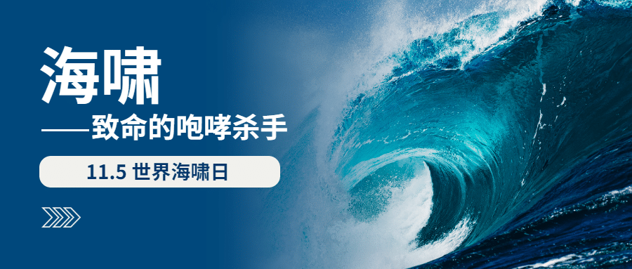 世界海啸日自然灾害科普预防实景公众号首图预览效果