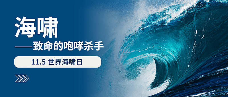 世界海啸日自然灾害科普预防实景公众号首图
