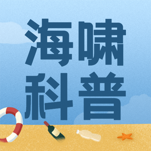 世界海啸日自然灾害知识科普手绘插画公众号次图预览效果