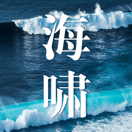 世界海啸日自然灾害知识科普实景公众号次图预览效果