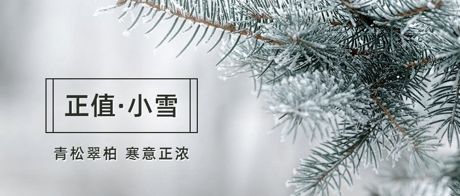 小雪节气祝福问候冬天实景公众号首图预览效果