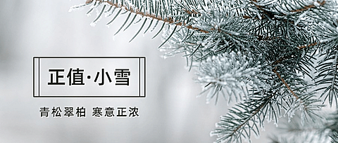小雪节气祝福问候冬天实景公众号首图