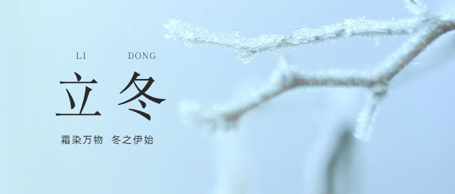 立冬节气树枝特写简约实景公众号首图预览效果