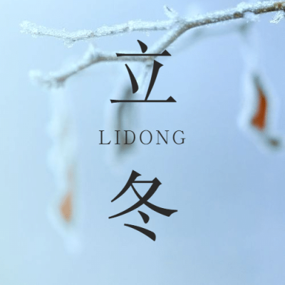 立冬节气树枝特写简约实景公众号次图