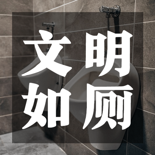 世界厕所日文明如厕公共卫生宣传实景公众号次图预览效果