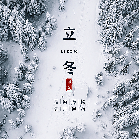 立冬节气雪林实景祝福方形海报