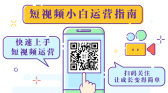 模板缩略图