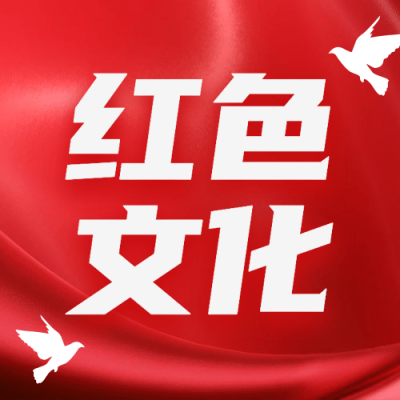 政务新闻精神党政融媒体公众号次图