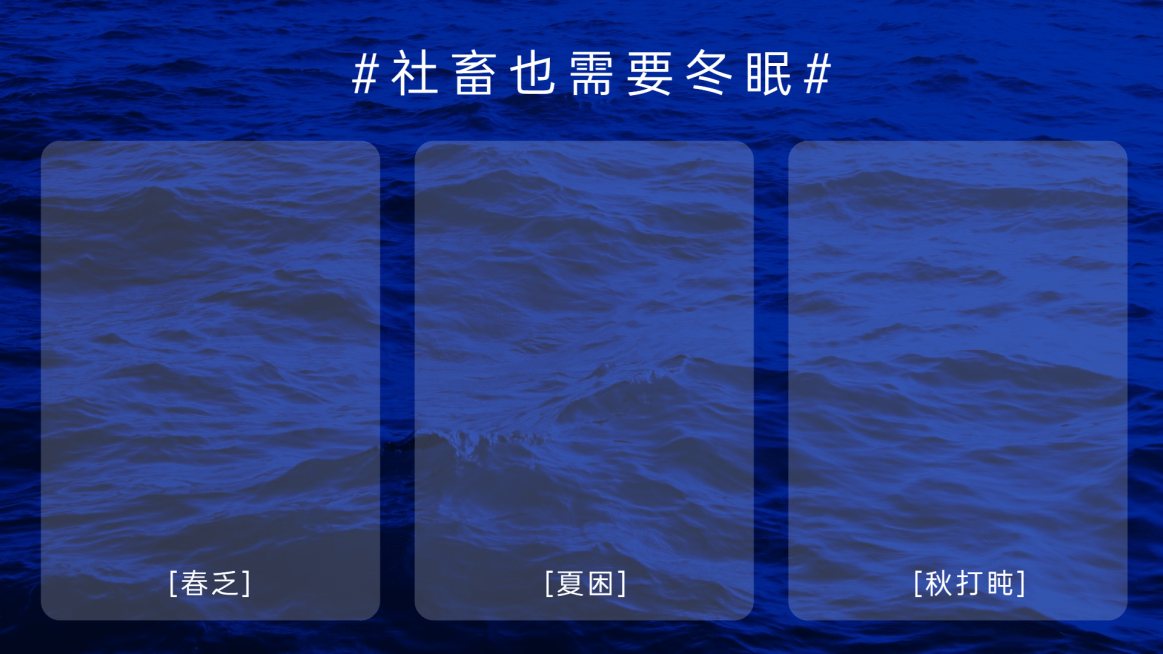 克莱因蓝实景电脑分区壁纸预览效果