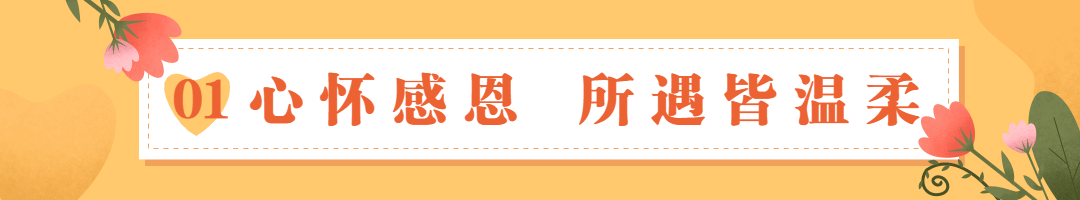 感恩节祝福问候科普指南宣传文章标题预览效果