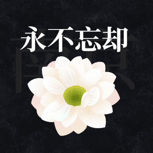 南京大屠杀死难者国家公祭日公众号次图预览效果