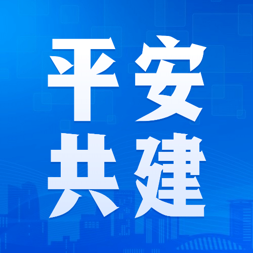 公安治安宣传简约政务免费公众号次图预览效果