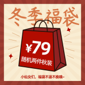 模板缩略图