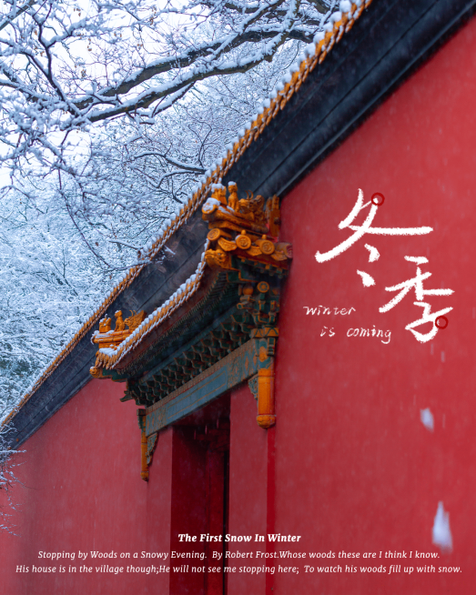 风景冬季旅游实景生活分享记录模板预览效果