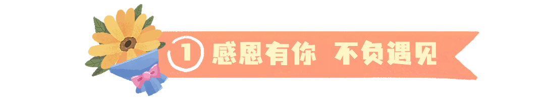 感恩节祝福问候科普指南宣传文章标题预览效果