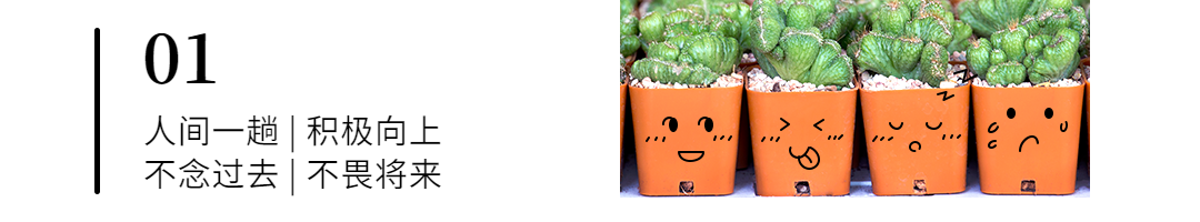 图片涂鸦情感日签正能量情商情绪语录公众号标题预览效果