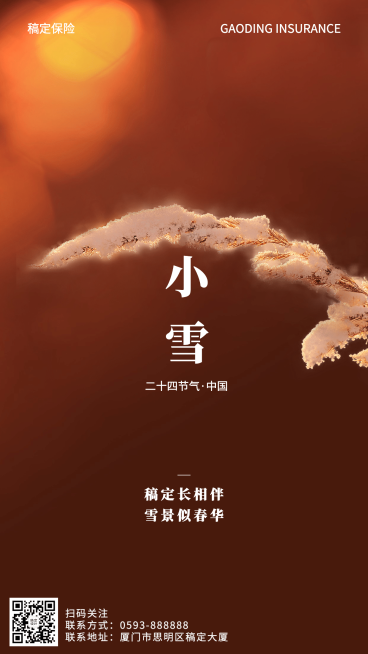 金融保险小雪节气祝福文艺海报预览效果