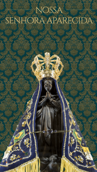 Pattern Background Brazilian Patronal Festival Statue Instagram Story