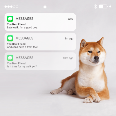 Mobile Phone Interface Simulation Pet Massages Instagram Story