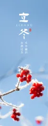 二十四节气书签元素长图