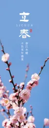 二十四节气书签ppt