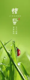 简约主义主义教育培训二十四节气书签