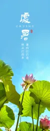 二十四节气书签表格
