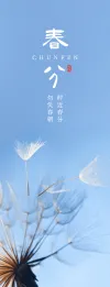 简约主义教育培训二十四节气书签
