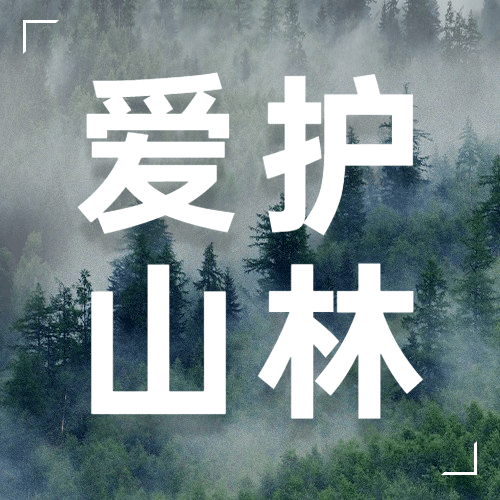 国际山岳日自然山脉宣传实景公众号次图预览效果