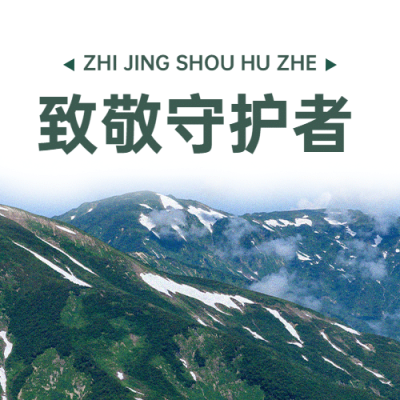国际山岳日自然山脉公众宣传简约实景号次图