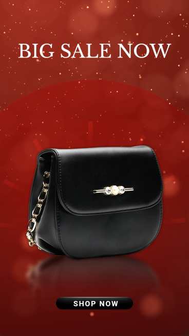 Luxurious Handbag Accessories Display Sale Ecommerce Story预览效果