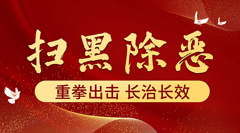 公安扫黑除恶专项行动政务红金横版海报banner
