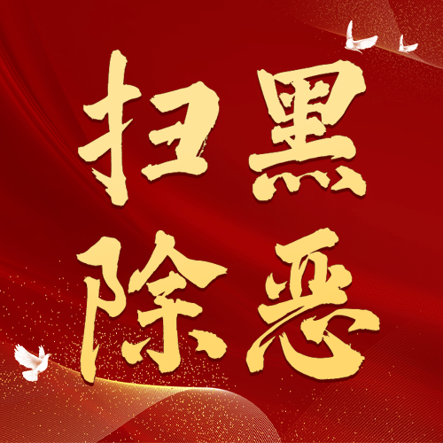公安扫黑除恶专项行动政务红金公众号次图预览效果
