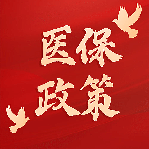 政务民生医保医疗保障政策措施解读消息动态通知公告融媒体公众号次图