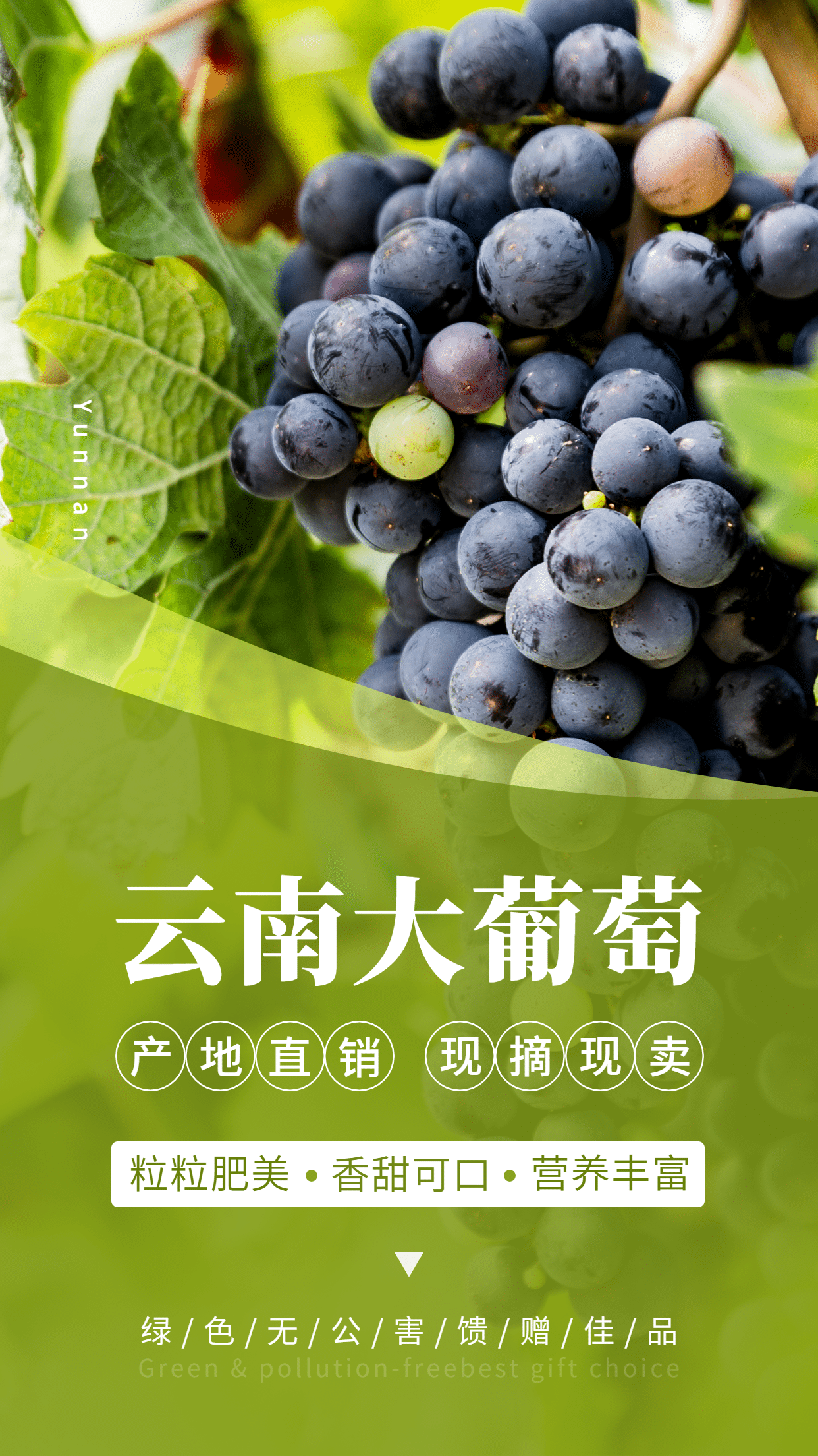 水果大葡萄特产产品展示手机海报预览效果
