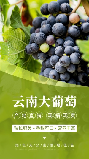 水果大葡萄特产产品展示手机海报