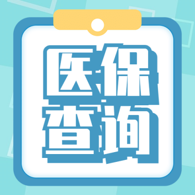 政务民生医保医疗保障查询攻略办事指南消息动态融媒体公众号次图